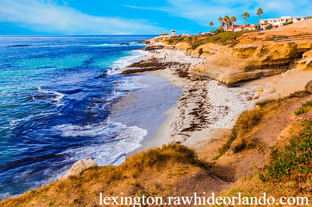 Menikmati Keindahan Alam La Jolla Cove Destinasi Wisata