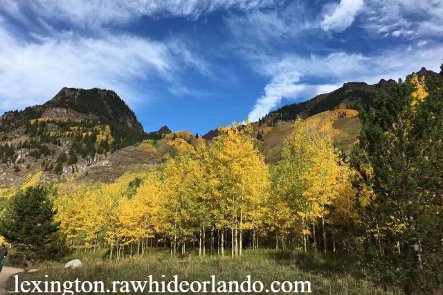 Panduan Wisata Mount Rainier Eksplorasi Keindahan Alam